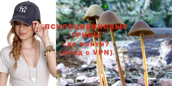 дмт Пролетарск