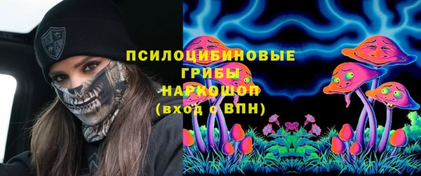 дмт Пролетарск