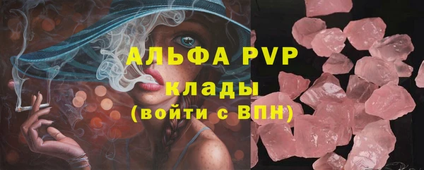 ПСИЛОЦИБИНОВЫЕ ГРИБЫ Приозерск