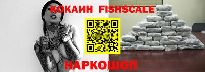 гашик Камышлов