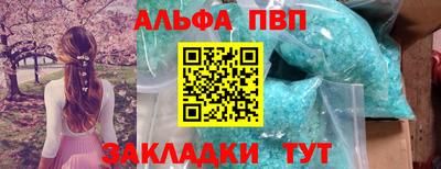 гашик Камышлов