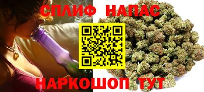 гашик Камышлов