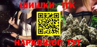 гашик Камышлов