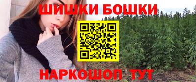 гашик Камышлов