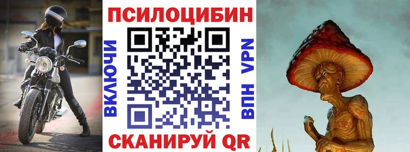 как найти закладки  Саянск  Галлюциногенные грибы Psilocybe 
