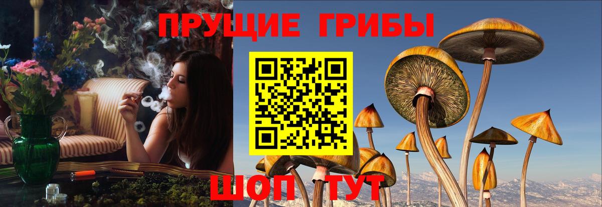 Псилоцибиновые грибы Magic Shrooms  Псилоцибиновые грибы мухоморы  Саянск  Вход с VPN 
